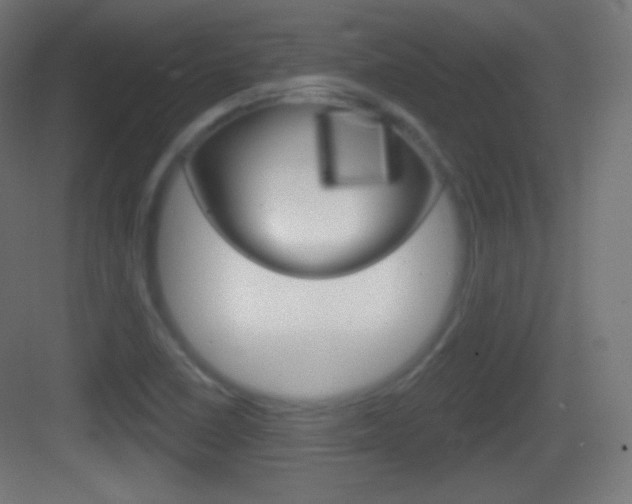 X0000083531410200702090708