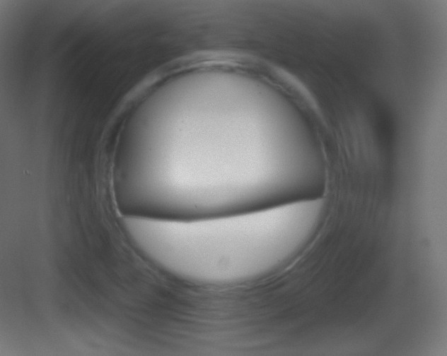 X0000083531411200702090708