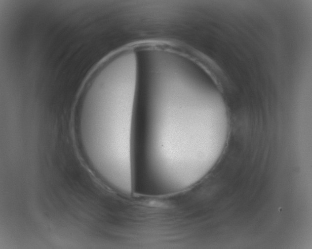 X0000083531412200702090708