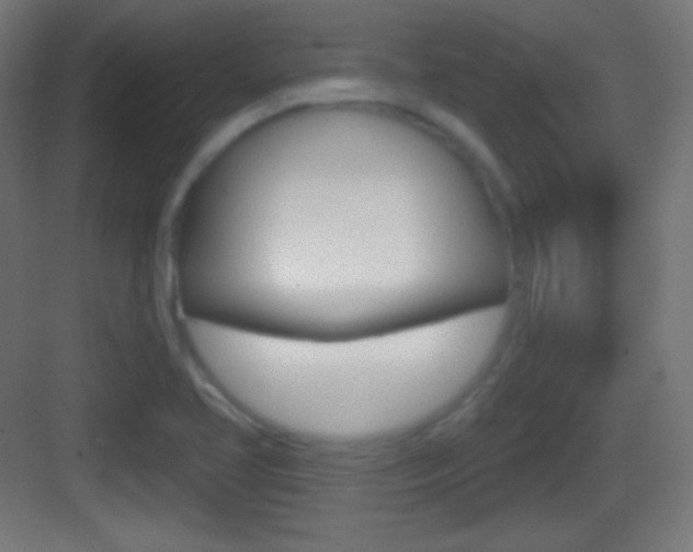 X0000083531413200702090708
