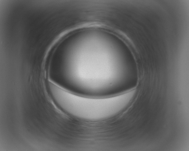 X0000083531414200702090708
