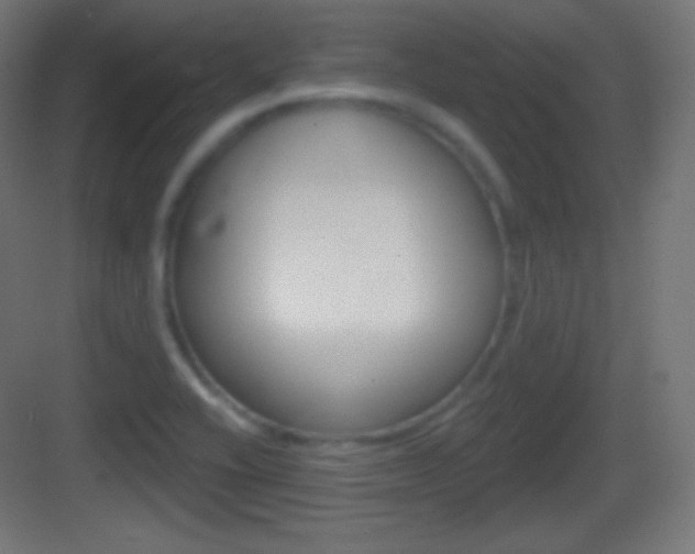 X0000083531416200702090708