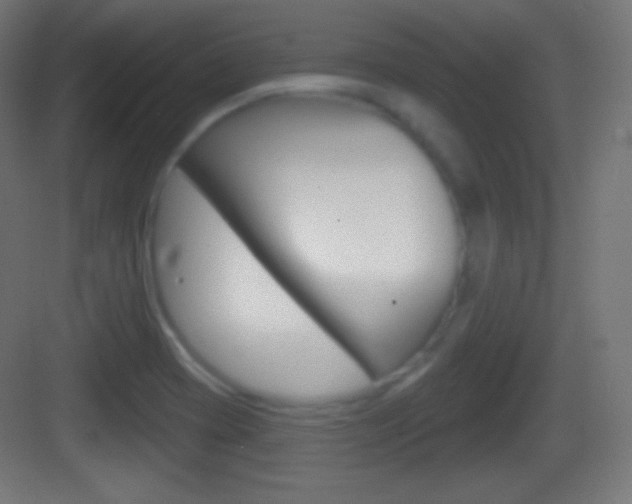 X0000083531417200702090708