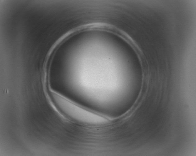 X0000083531418200702090708