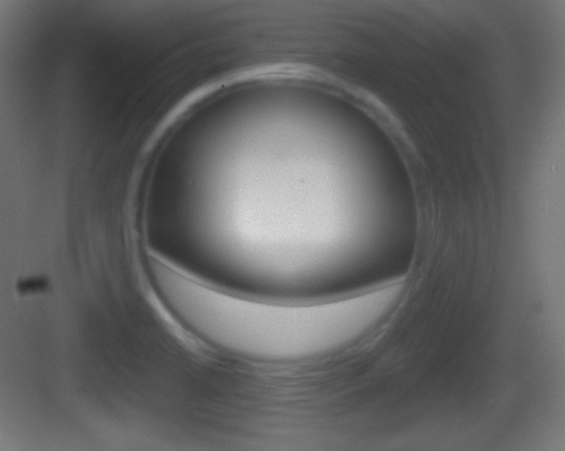 X0000083531422200702090708