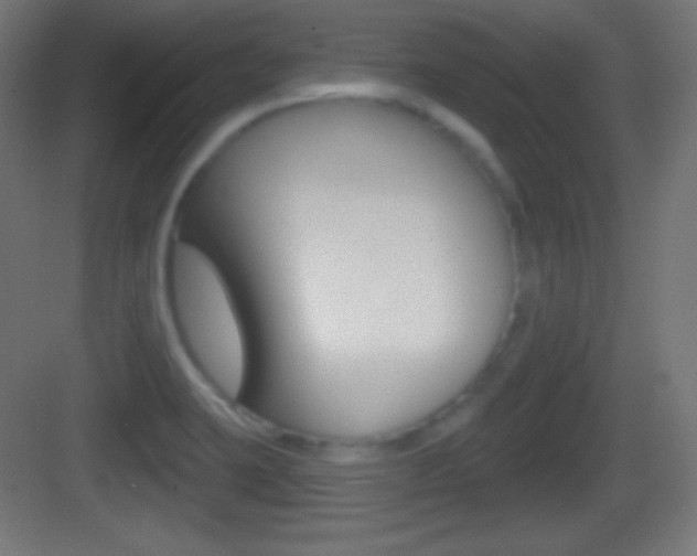 X0000083531423200702090708