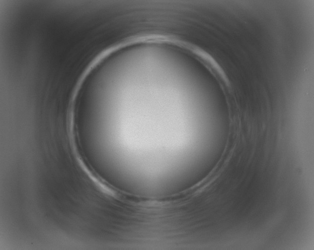 X0000083531424200702090708