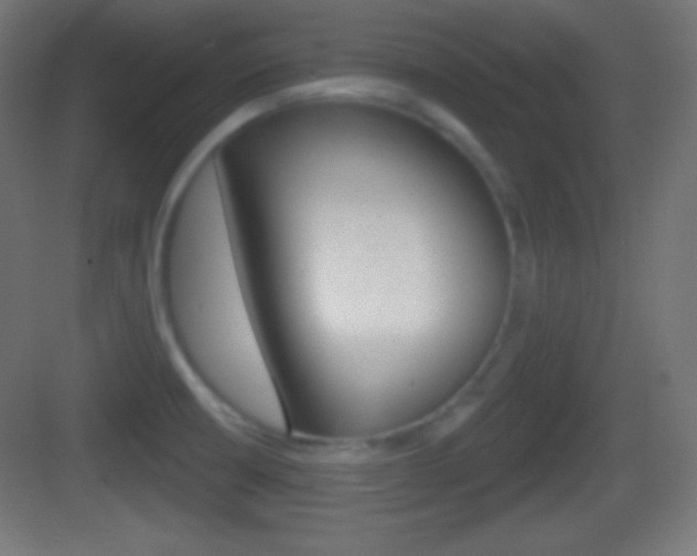 X0000083531426200702090708