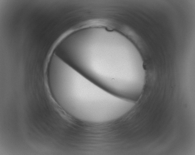 X0000083531427200702090708
