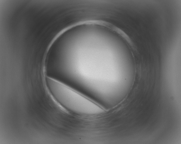 X0000083531428200702090708
