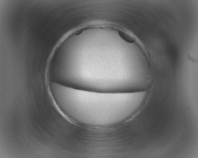 X0000083531429200702090708