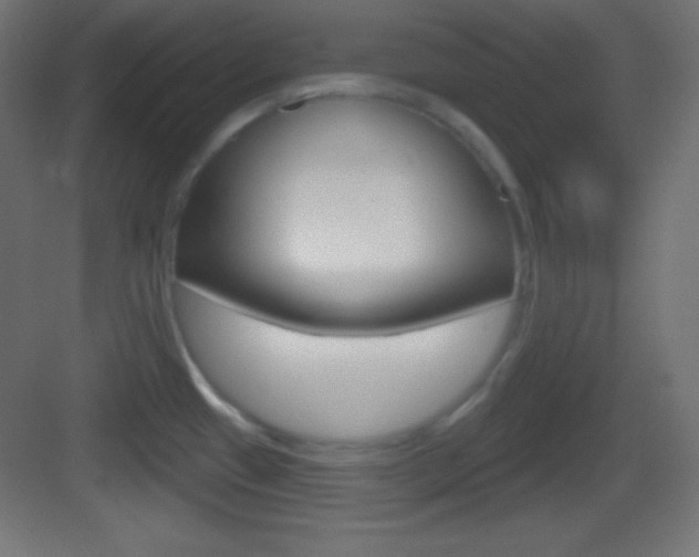 X0000083531433200702090708