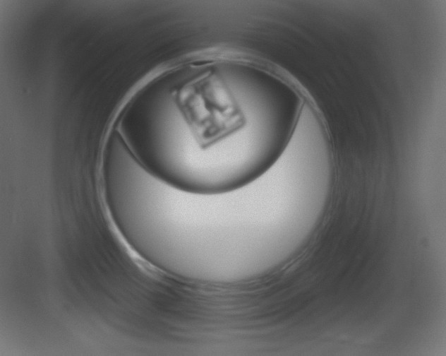 X0000083531434200702090708