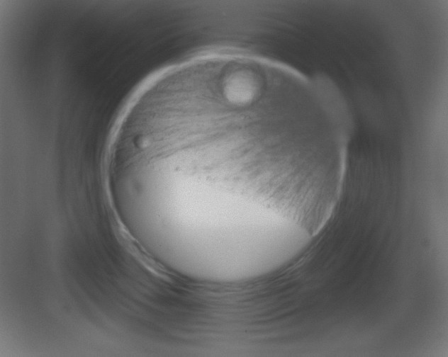 X0000083531435200702090708