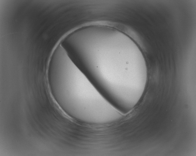 X0000083531436200702090708