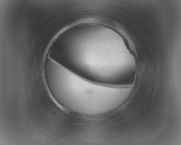 X0000083531437200702090708