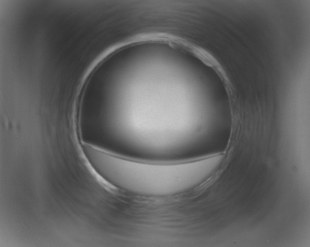 X0000083531438200702090708