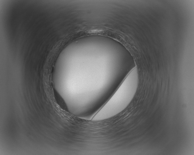 X0000083531441200702090708