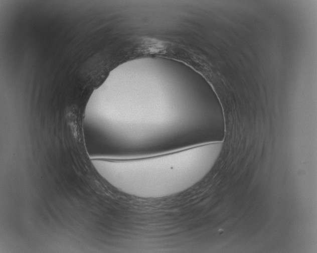 X0000083531442200702090708