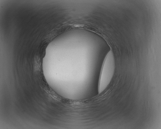 X0000083531443200702090708