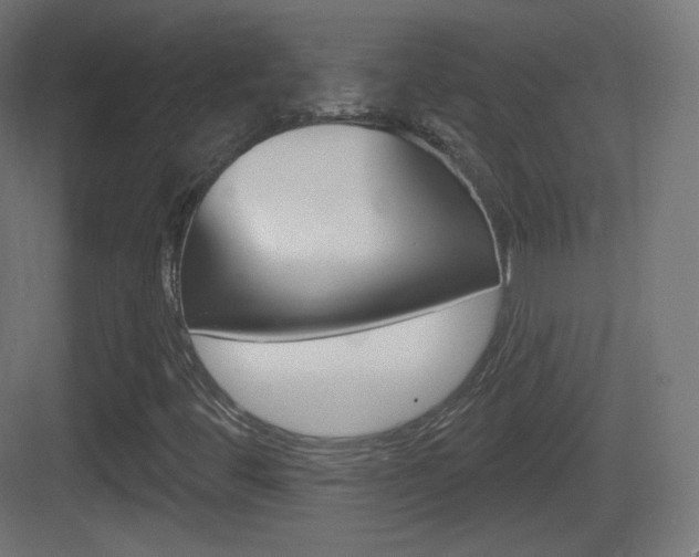 X0000083531444200702090708