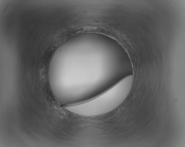 X0000083531445200702090708