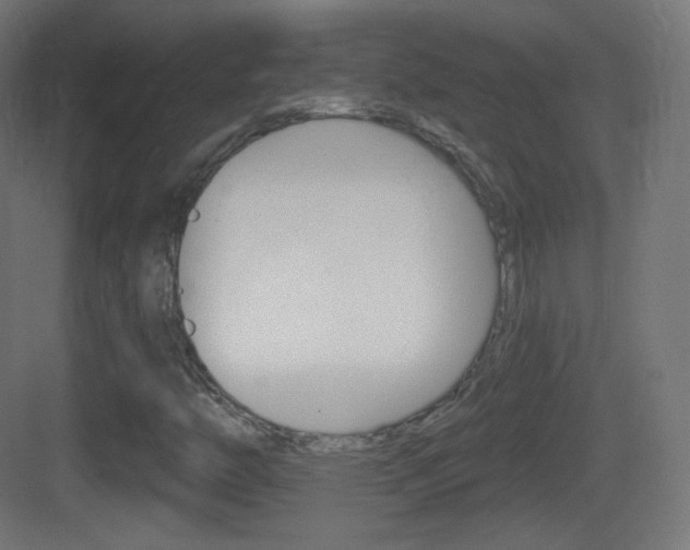 X0000083531446200702090708