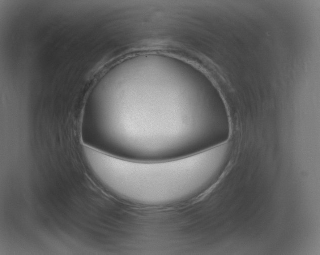 X0000083531449200702090708