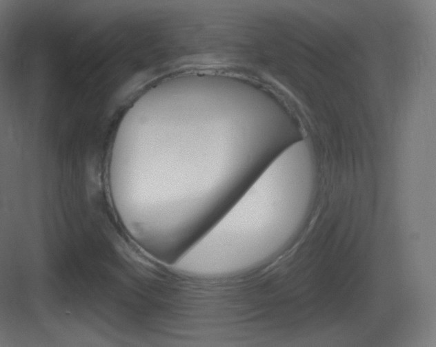 X0000083531451200702090707