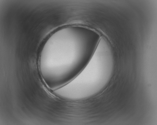 X0000083531452200702090707