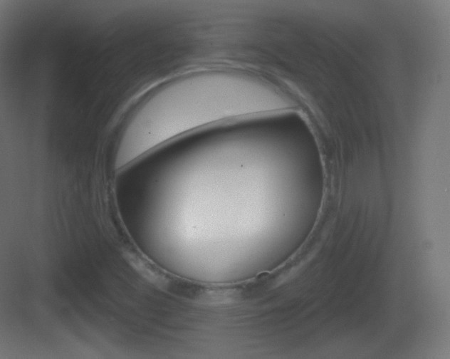 X0000083531453200702090707