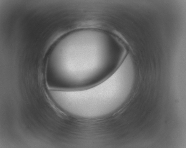 X0000083531458200702090707