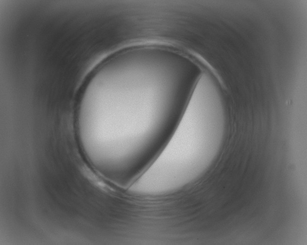 X0000083531460200702090707