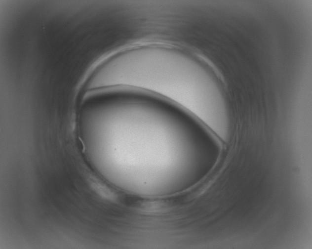 X0000083531461200702090707