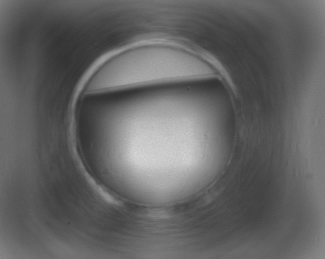 X0000083531472200702090707