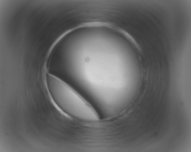 X0000083531476200702090707