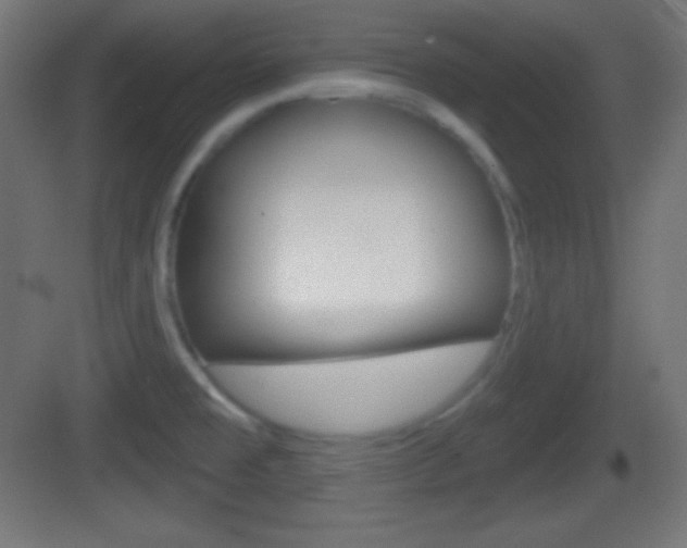 X0000083531477200702090707