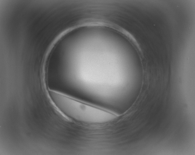 X0000083531480200702090707