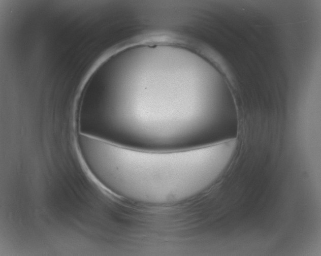 X0000083531483200702090707