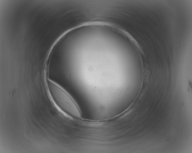 X0000083531484200702090707