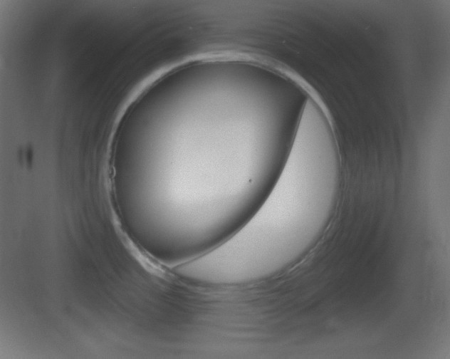 X0000083531485200702090707