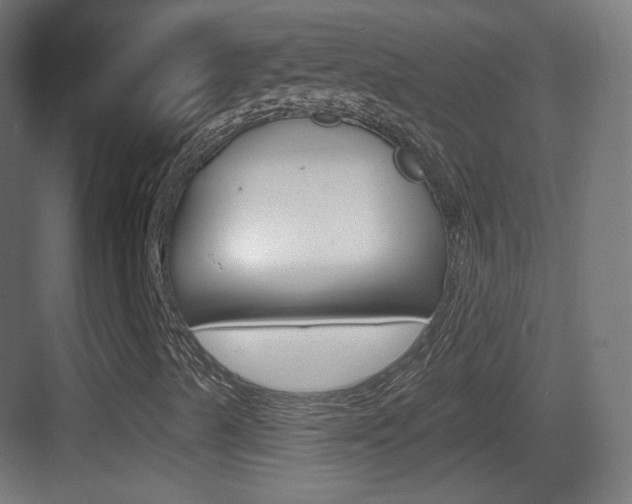 X0000083531489200702090706