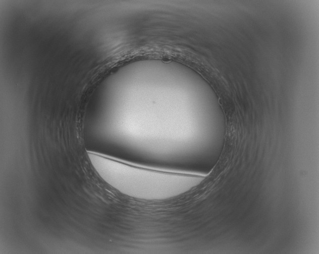 X0000083531490200702090706