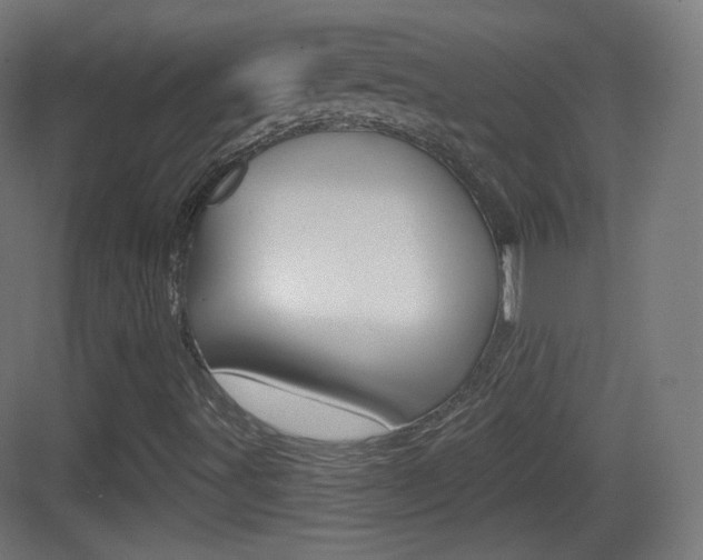 X0000083531491200702090706