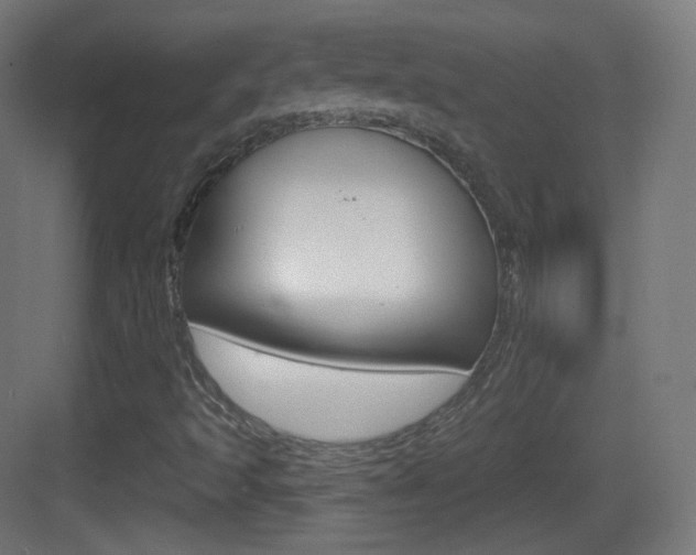 X0000083531493200702090706