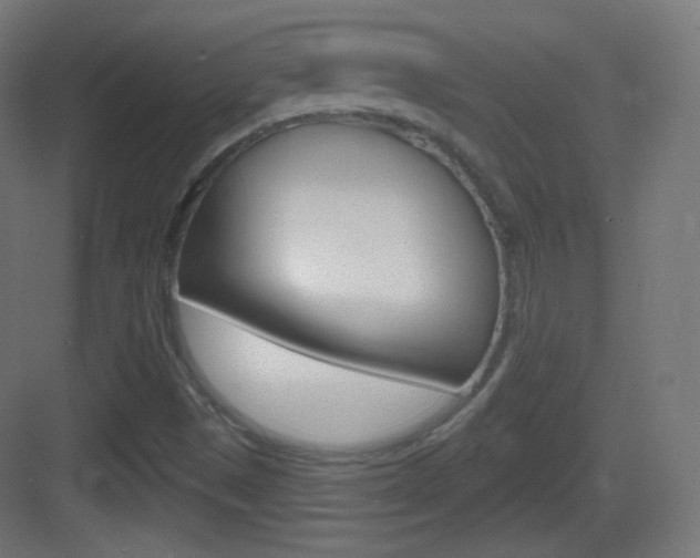 X0000083531497200702090706
