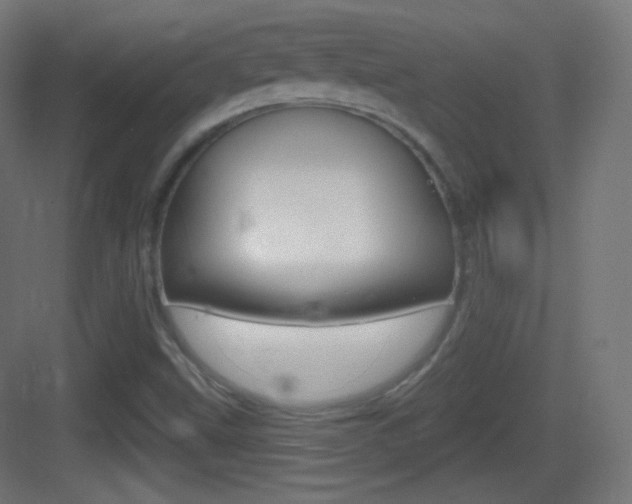 X0000083531499200702090706