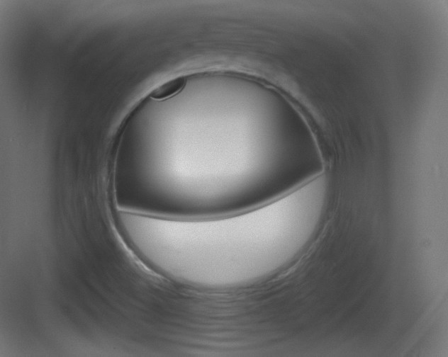 X0000083531500200702090706