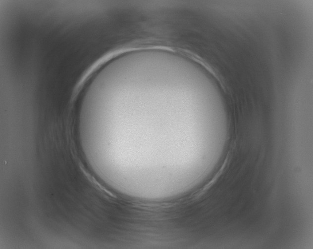 X0000083531502200702090706