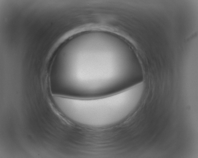 X0000083531507200702090706
